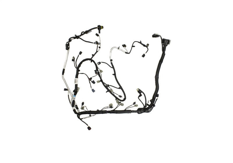 Photo - Unmounted