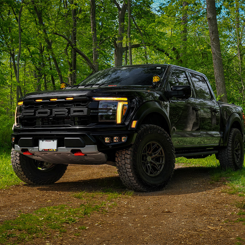 Ford F-150 Raptor