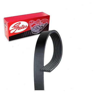 Gates 09-11 Dodge Challenger RT / 06-11 Charger RT Automotive Micro-V Belt - K060825