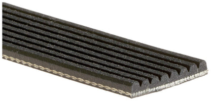 Gates 99-04 Ford F Series Pickup V-8 5.4L Serpentine Belt - K080661A