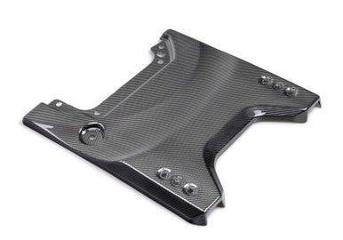 Ford Racing 22-24 Bronco Raptor Carbon Fiver Tailgate Applique - Gloss - M-16600-BG