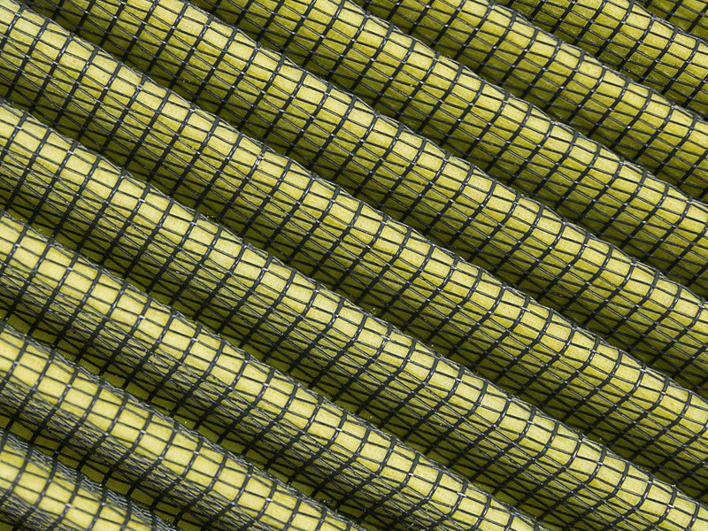Photo - Close Up