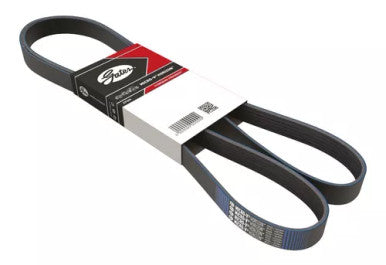 Gates 93-11 Subaru Impreza / 88-89 Honda Prelude Micro-V Belt - K050345