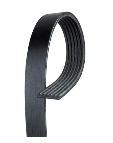 Gates 05-10 Ford Mustang GT Automotive Micro-V Belt - K061247